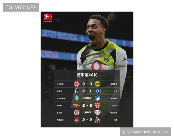 深度报道：德甲联盟公布2025-26赛季上座率报告，场均观众再创历史新高